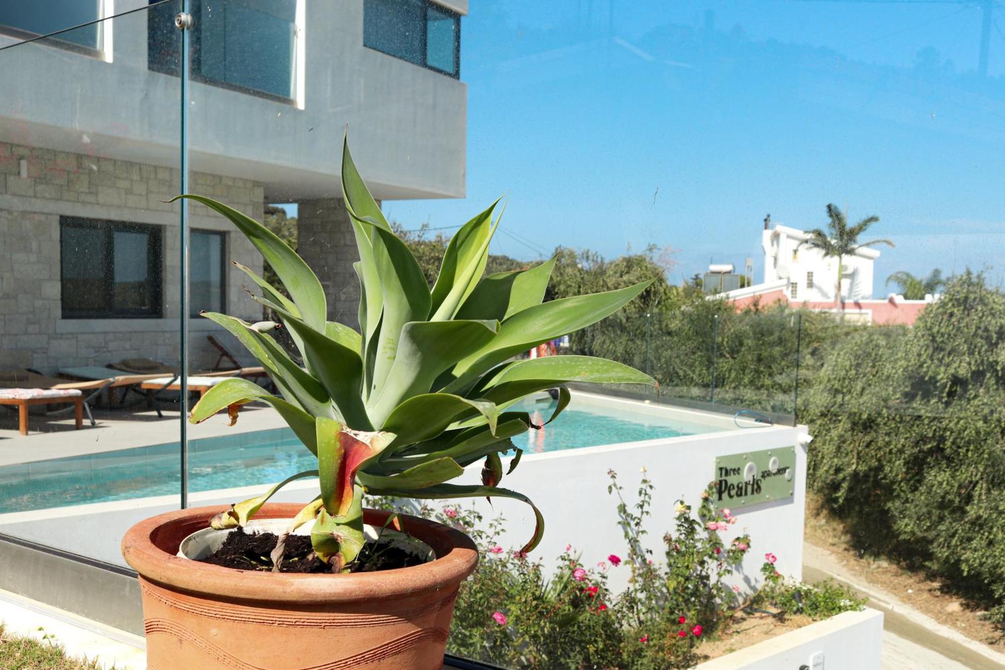 Ferienwohnung Cream Cozy Getaway - 3 Pearls Pool Retreat Dempla Exterior foto