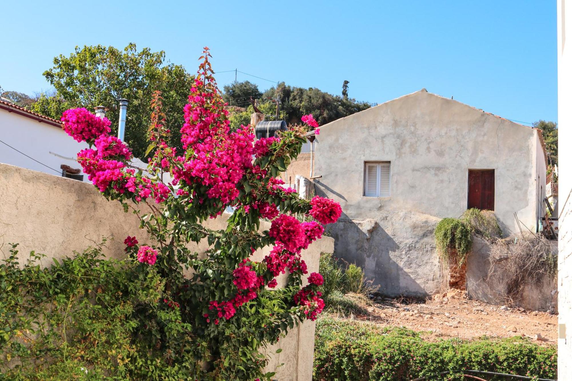 Ferienwohnung Cream Cozy Getaway - 3 Pearls Pool Retreat Dempla Exterior foto